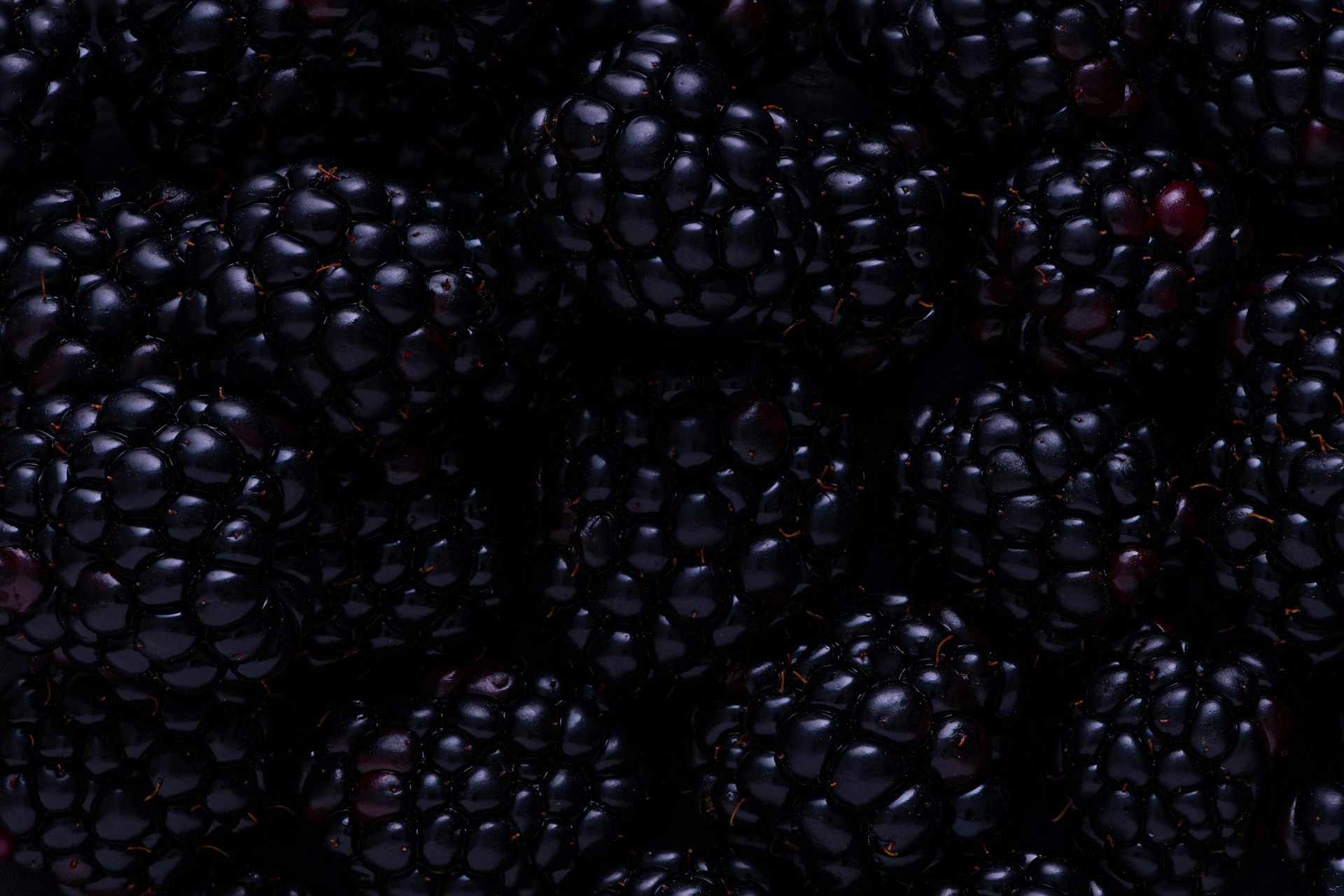 blackberry fruits